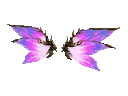 Wings of Fantasy