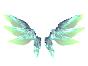 Wings of Disillusionment